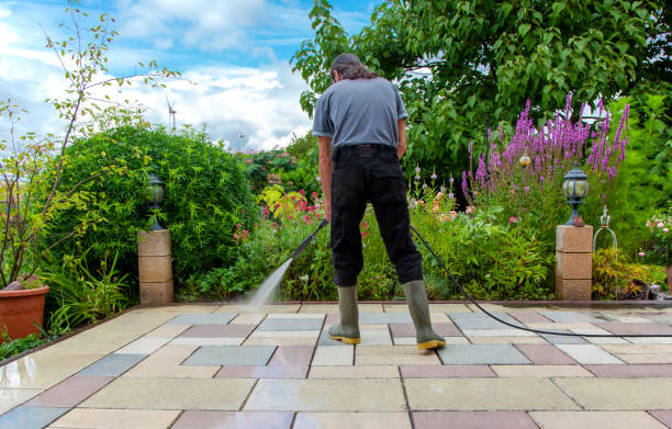 Best Roof Washing  in Amity Gardens, PA